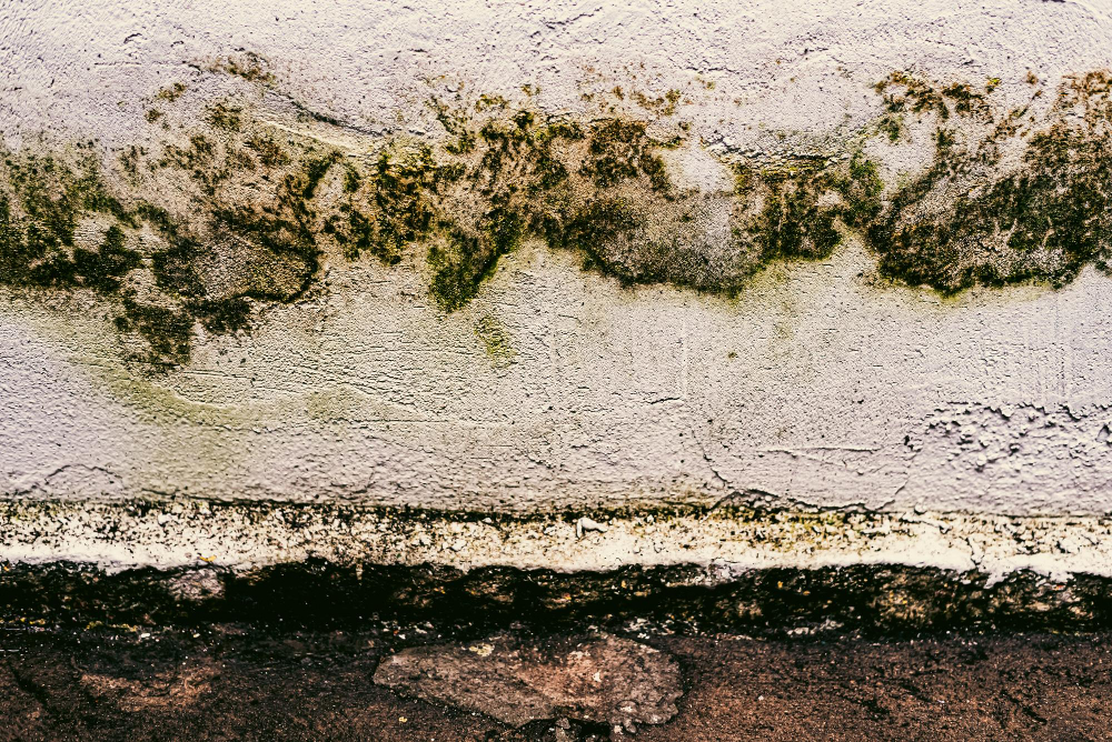 Water damage cleanup in Littleton CO